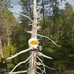 Malangen Kjerkevik