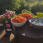 Casa de Férias Malangen *