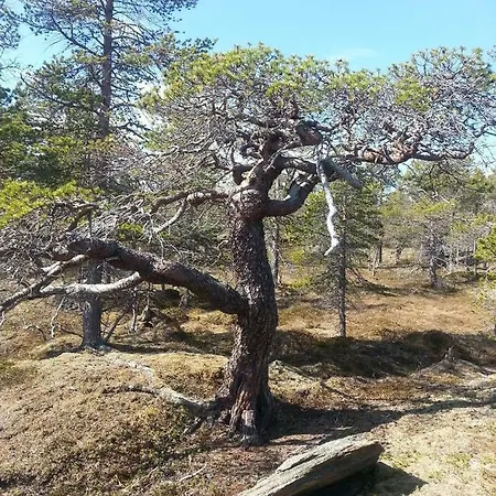 Casa vacanze Malangen