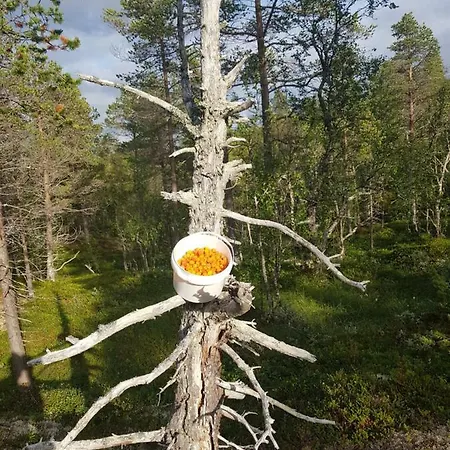Malangen Kjerkevik