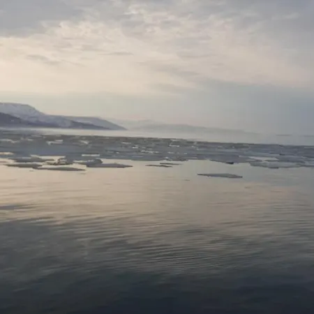 Malangen