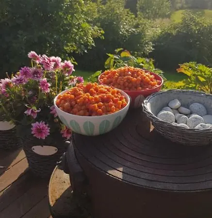 Vakantiehuis Malangen *