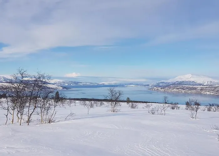 Tatil Evi Malangen *