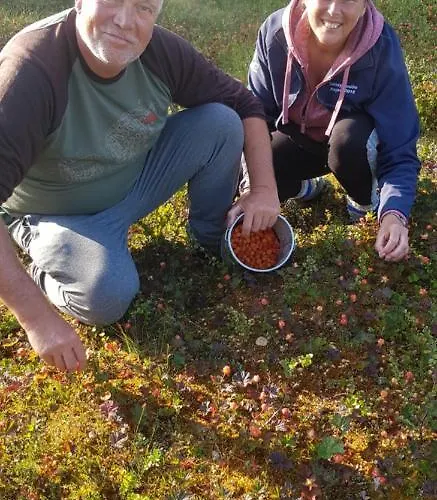 Malangen Tatil Evi *