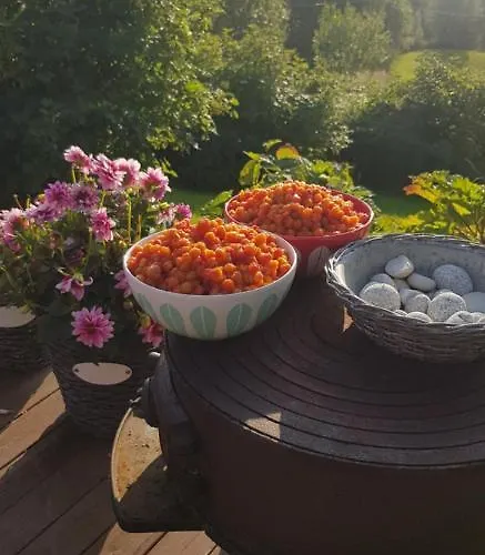 Tatil Evi Malangen *