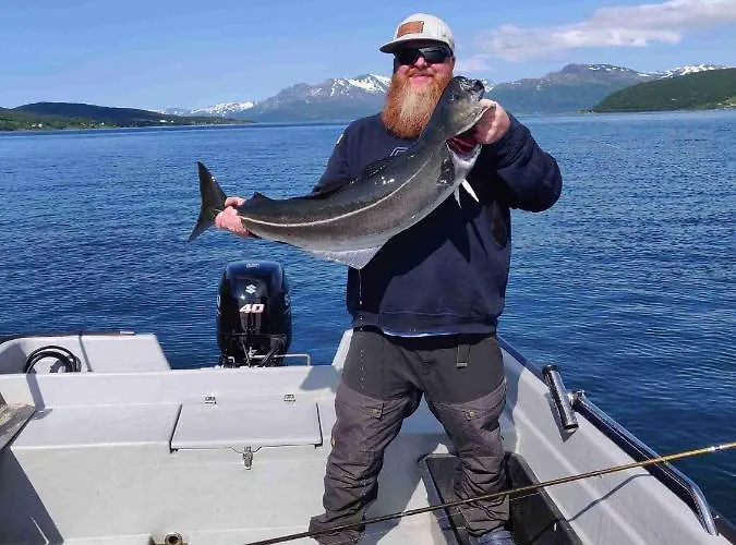 Tatil Evi Malangen *